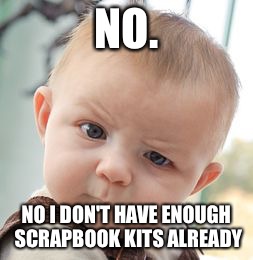 Skeptical Baby Meme | NO. NO I DON'T HAVE ENOUGH SCRAPBOOK KITS ALREADY | image tagged in memes,skeptical baby | made w/ Imgflip meme maker