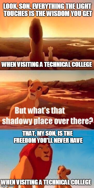 Simba Shadowy Place | LOOK, SON. EVERYTHING THE LIGHT TOUCHES IS THE WISDOM YOU GET; WHEN VISITING A TECHNICAL COLLEGE; THAT, MY SON, IS THE FREEDOM YOU'LL NEVER HAVE; WHEN VISITING A TECHNICAL COLLEGE | image tagged in memes,simba shadowy place | made w/ Imgflip meme maker