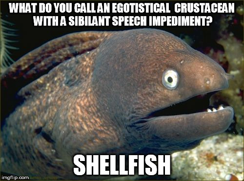 Sheeryishry? | WHAT DO YOU CALL AN EGOTISTICAL  CRUSTACEAN WITH A SIBILANT SPEECH IMPEDIMENT? SHELLFISH | image tagged in memes,bad joke eel,free speech | made w/ Imgflip meme maker