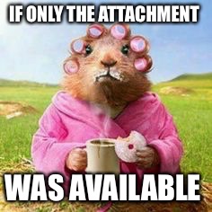 Attachment unavailable  | IF ONLY THE ATTACHMENT; WAS AVAILABLE | image tagged in attachment unavailable | made w/ Imgflip meme maker