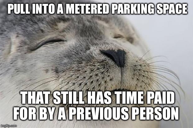Satisfied Seal | PULL INTO A METERED PARKING SPACE; THAT STILL HAS TIME PAID FOR BY A PREVIOUS PERSON | image tagged in memes,satisfied seal,AdviceAnimals | made w/ Imgflip meme maker