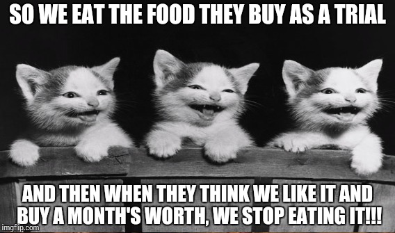 SO WE EAT THE FOOD THEY BUY AS A TRIAL AND THEN WHEN THEY THINK WE LIKE IT AND BUY A MONTH'S WORTH, WE STOP EATING IT!!! | made w/ Imgflip meme maker