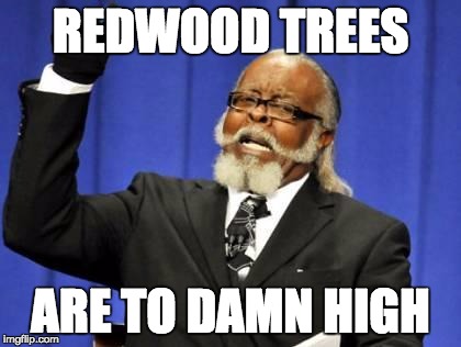 bar to damn high | REDWOOD TREES; ARE TO DAMN HIGH | image tagged in bar to damn high | made w/ Imgflip meme maker