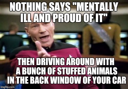 Picard Wtf Meme | NOTHING SAYS "MENTALLY ILL AND PROUD OF IT"; THEN DRIVING AROUND WITH A BUNCH OF STUFFED ANIMALS IN THE BACK WINDOW OF YOUR CAR | image tagged in memes,picard wtf | made w/ Imgflip meme maker