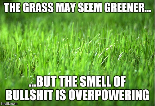 grass is greener | THE GRASS MAY SEEM GREENER... ...BUT THE SMELL OF BULLSHIT IS OVERPOWERING | image tagged in grass is greener | made w/ Imgflip meme maker