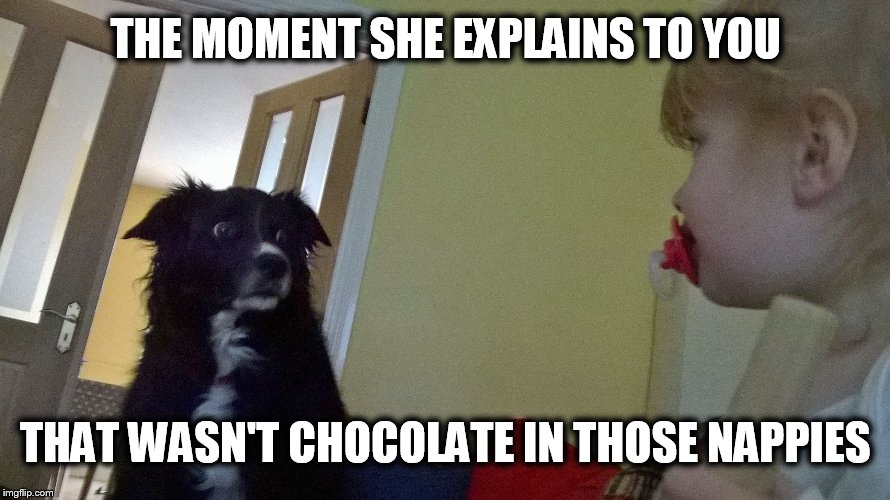 Chocolate Nappies | THE MOMENT SHE EXPLAINS TO YOU; THAT WASN'T CHOCOLATE IN THOSE NAPPIES | image tagged in chocolate,babies | made w/ Imgflip meme maker