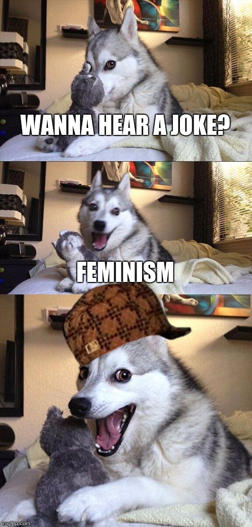 Bad Pun Dog | WANNA HEAR A JOKE? FEMINISM | image tagged in memes,bad pun dog,scumbag | made w/ Imgflip meme maker