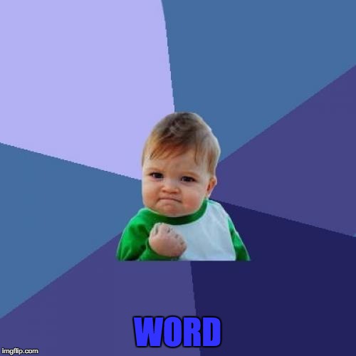 Success Kid Meme | WORD | image tagged in memes,success kid | made w/ Imgflip meme maker