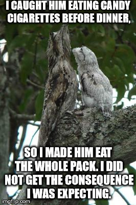 I CAUGHT HIM EATING CANDY CIGARETTES BEFORE DINNER, SO I MADE HIM EAT THE WHOLE PACK. I DID NOT GET THE CONSEQUENCE I WAS EXPECTING. | image tagged in weird ways i parent potoo | made w/ Imgflip meme maker