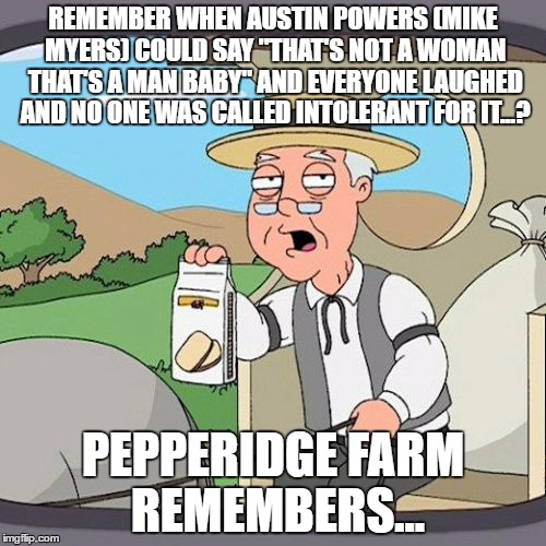 Pepperidge Farm Remembers | REMEMBER WHEN AUSTIN POWERS (MIKE MYERS) COULD SAY "THAT'S NOT A WOMAN THAT'S A MAN BABY" AND EVERYONE LAUGHED AND NO ONE WAS CALLED INTOLERANT FOR IT...? PEPPERIDGE FARM REMEMBERS... | image tagged in memes,pepperidge farm remembers | made w/ Imgflip meme maker
