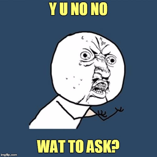 Y U No Meme | Y U NO NO WAT TO ASK? | image tagged in memes,y u no | made w/ Imgflip meme maker