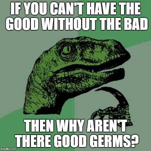 Philosoraptor | IF YOU CAN'T HAVE THE GOOD WITHOUT THE BAD; THEN WHY AREN'T THERE GOOD GERMS? | image tagged in memes,philosoraptor | made w/ Imgflip meme maker