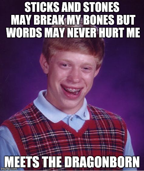 Bad Luck Brian Meme | STICKS AND STONES MAY BREAK MY BONES BUT WORDS MAY NEVER HURT ME; MEETS THE DRAGONBORN | image tagged in memes,bad luck brian | made w/ Imgflip meme maker