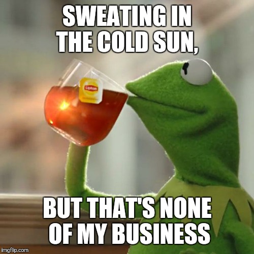 But That's None Of My Business Meme | SWEATING IN THE COLD SUN, BUT THAT'S NONE OF MY BUSINESS | image tagged in memes,but thats none of my business,kermit the frog | made w/ Imgflip meme maker