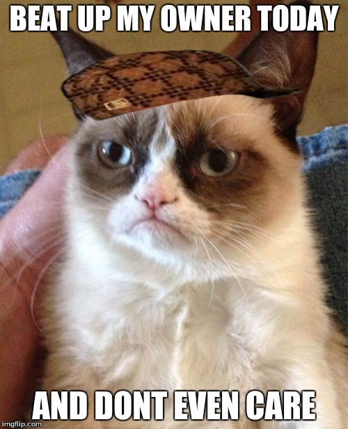 Grumpy Cat Meme | BEAT UP MY OWNER TODAY; AND DONT EVEN CARE | image tagged in memes,grumpy cat,scumbag | made w/ Imgflip meme maker