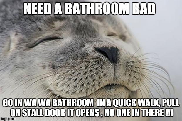 Satisfied Seal | NEED A BATHROOM BAD; GO IN WA WA BATHROOM  IN A QUICK WALK, PULL ON STALL DOOR IT OPENS , NO ONE IN THERE !!! | image tagged in memes,satisfied seal | made w/ Imgflip meme maker