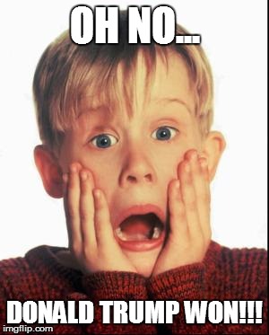 Home Alone Kid  | OH NO... DONALD TRUMP WON!!! | image tagged in home alone kid | made w/ Imgflip meme maker