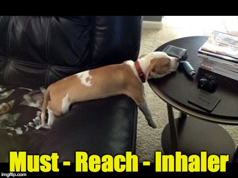 Oh the woes of asthma | Must - Reach - Inhaler | image tagged in dog,asthma,inhaler | made w/ Imgflip meme maker