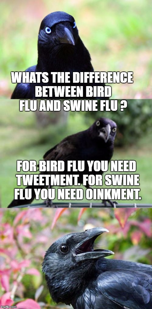 bad pun crow |  WHATS THE DIFFERENCE BETWEEN BIRD FLU AND SWINE FLU ? FOR BIRD FLU YOU NEED TWEETMENT. FOR SWINE FLU YOU NEED OINKMENT. | image tagged in bad pun crow | made w/ Imgflip meme maker