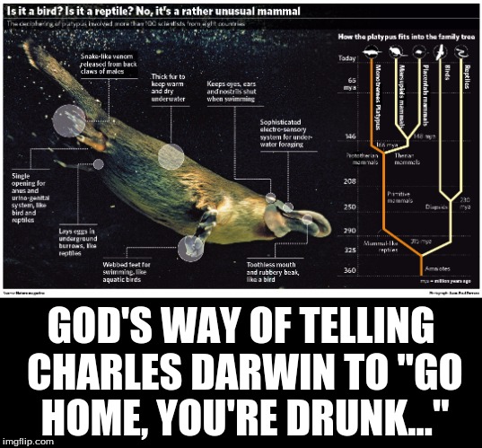 GOD'S WAY OF TELLING CHARLES DARWIN TO "GO HOME, YOU'RE DRUNK..." | image tagged in humor | made w/ Imgflip meme maker