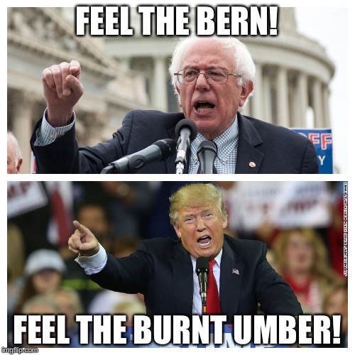 Comparing apples to an orange man.  | FEEL THE BERN! FEEL THE BURNT UMBER! | image tagged in bernie sanders,donald trump | made w/ Imgflip meme maker