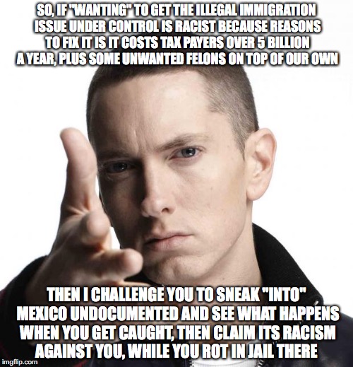 Eminem video game logic |  SO, IF "WANTING" TO GET THE ILLEGAL IMMIGRATION ISSUE UNDER CONTROL IS RACIST BECAUSE REASONS TO FIX IT IS IT COSTS TAX PAYERS OVER 5 BILLION A YEAR, PLUS SOME UNWANTED FELONS ON TOP OF OUR OWN; THEN I CHALLENGE YOU TO SNEAK "INTO" MEXICO UNDOCUMENTED AND SEE WHAT HAPPENS WHEN YOU GET CAUGHT, THEN CLAIM ITS RACISM AGAINST YOU, WHILE YOU ROT IN JAIL THERE | image tagged in eminem video game logic | made w/ Imgflip meme maker