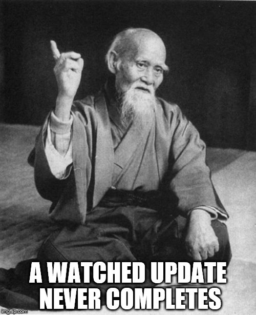 Wise Master |  A WATCHED UPDATE NEVER COMPLETES | image tagged in wise master,memes,updates | made w/ Imgflip meme maker
