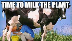 TIME TO MILK THE PLANT | made w/ Imgflip meme maker