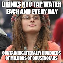 hippie meme girl |  DRINKS NYC TAP WATER EACH AND EVERY DAY; CONTAINING LITERALLY HUNDREDS OF MILLIONS OF CRUSTACEANS | image tagged in hippie meme girl,AdviceAnimals | made w/ Imgflip meme maker