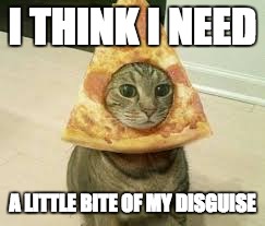 Pizza Cat: Cute and comes with some good snacks | I THINK I NEED; A LITTLE BITE OF MY DISGUISE | image tagged in memes,other | made w/ Imgflip meme maker