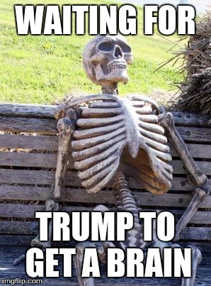 Waiting Skeleton | WAITING FOR; TRUMP TO GET A BRAIN | image tagged in memes,waiting skeleton | made w/ Imgflip meme maker