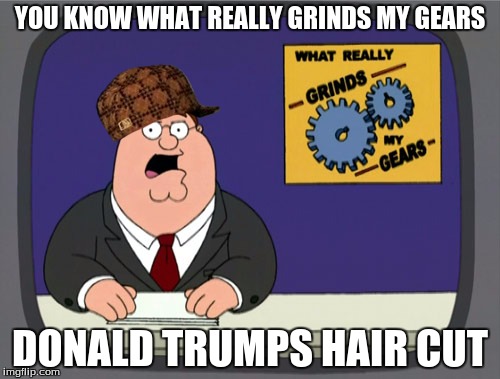 Peter Griffin News | YOU KNOW WHAT REALLY GRINDS MY GEARS; DONALD TRUMPS HAIR CUT | image tagged in memes,peter griffin news,scumbag | made w/ Imgflip meme maker