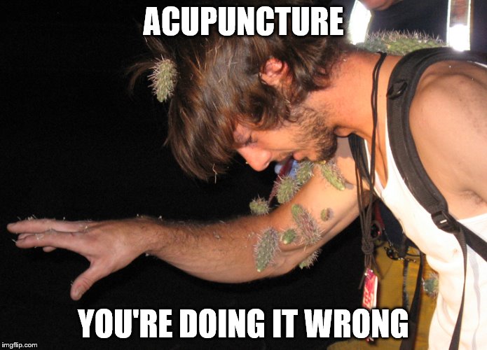 I don't think they use cacti... |  ACUPUNCTURE; YOU'RE DOING IT WRONG | image tagged in memes,cactus,acupuncture | made w/ Imgflip meme maker