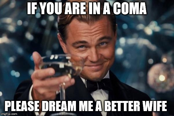 Leonardo Dicaprio Cheers Meme | IF YOU ARE IN A COMA PLEASE DREAM ME A BETTER WIFE | image tagged in memes,leonardo dicaprio cheers | made w/ Imgflip meme maker