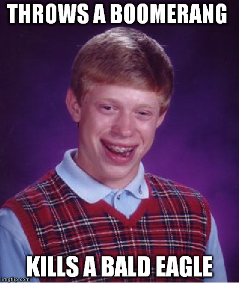 Bad Luck Brian Meme | THROWS A BOOMERANG KILLS A BALD EAGLE | image tagged in memes,bad luck brian | made w/ Imgflip meme maker