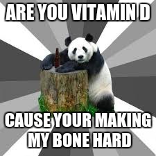 Pickup Line Panda | ARE YOU VITAMIN D; CAUSE YOUR MAKING MY BONE HARD | image tagged in pickup line panda | made w/ Imgflip meme maker
