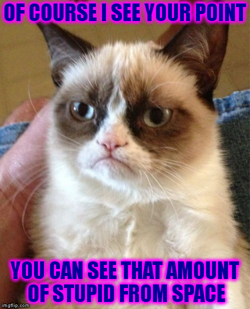 Completely Pointless | OF COURSE I SEE YOUR POINT; YOU CAN SEE THAT AMOUNT OF STUPID FROM SPACE | image tagged in memes,grumpy cat | made w/ Imgflip meme maker