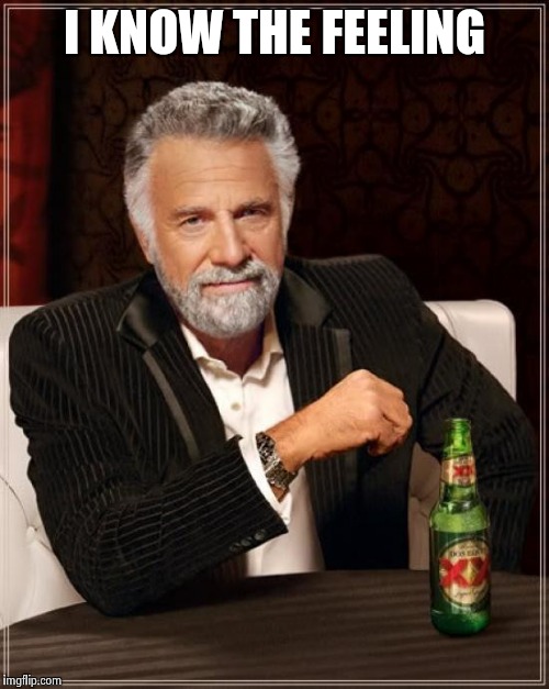 The Most Interesting Man In The World Meme | I KNOW THE FEELING | image tagged in memes,the most interesting man in the world | made w/ Imgflip meme maker