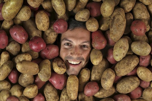 High Quality Potatoes lover Blank Meme Template