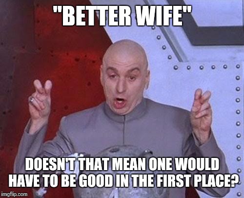 Dr Evil Laser Meme | "BETTER WIFE" DOESN'T THAT MEAN ONE WOULD HAVE TO BE GOOD IN THE FIRST PLACE? | image tagged in memes,dr evil laser | made w/ Imgflip meme maker