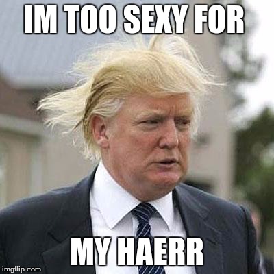 Donald Trump | IM TOO SEXY FOR; MY HAERR | image tagged in donald trump | made w/ Imgflip meme maker