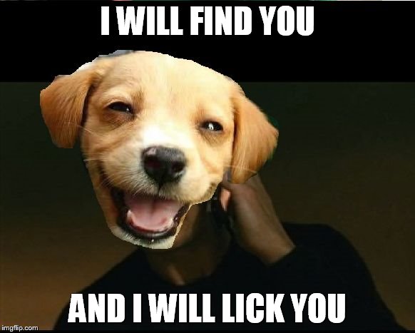 taken dog | I WILL FIND YOU; AND I WILL LICK YOU | image tagged in taken dog,liam neeson taken,happy dog | made w/ Imgflip meme maker