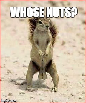 WHOSE NUTS? | made w/ Imgflip meme maker