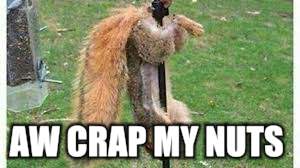 AW CRAP MY NUTS | made w/ Imgflip meme maker