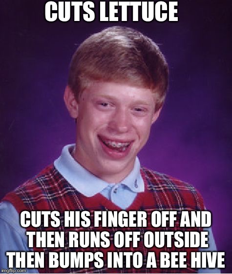 Bad Luck Brian | CUTS LETTUCE; CUTS HIS FINGER OFF AND THEN RUNS OFF OUTSIDE THEN BUMPS INTO A BEE HIVE | image tagged in memes,bad luck brian | made w/ Imgflip meme maker