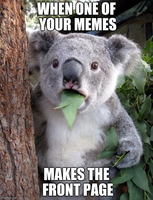 Wasn't expecting it, not complaining though... | WHEN ONE OF YOUR MEMES; MAKES THE FRONT PAGE | image tagged in suprised koala | made w/ Imgflip meme maker