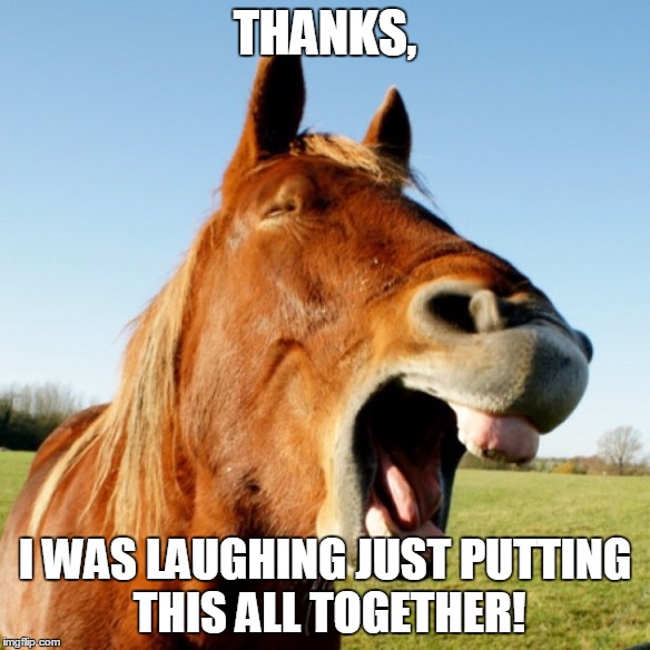 THANKS, I WAS LAUGHING JUST PUTTING THIS ALL TOGETHER! | image tagged in laughing horse | made w/ Imgflip meme maker