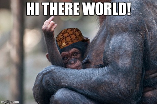 monkey | HI THERE WORLD! | image tagged in monkey,scumbag,middle finger,funny | made w/ Imgflip meme maker