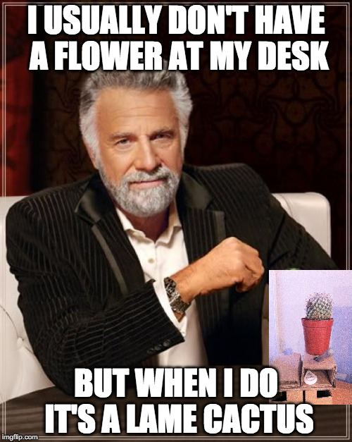 The Most Interesting Man In The World | I USUALLY DON'T HAVE A FLOWER AT MY DESK; BUT WHEN I DO IT'S A LAME CACTUS | image tagged in memes,the most interesting man in the world | made w/ Imgflip meme maker