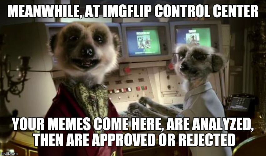 Imgflip Control Center | MEANWHILE, AT IMGFLIP CONTROL CENTER; YOUR MEMES COME HERE, ARE ANALYZED, THEN ARE APPROVED OR REJECTED | image tagged in meerkats,mean while on imgflip | made w/ Imgflip meme maker